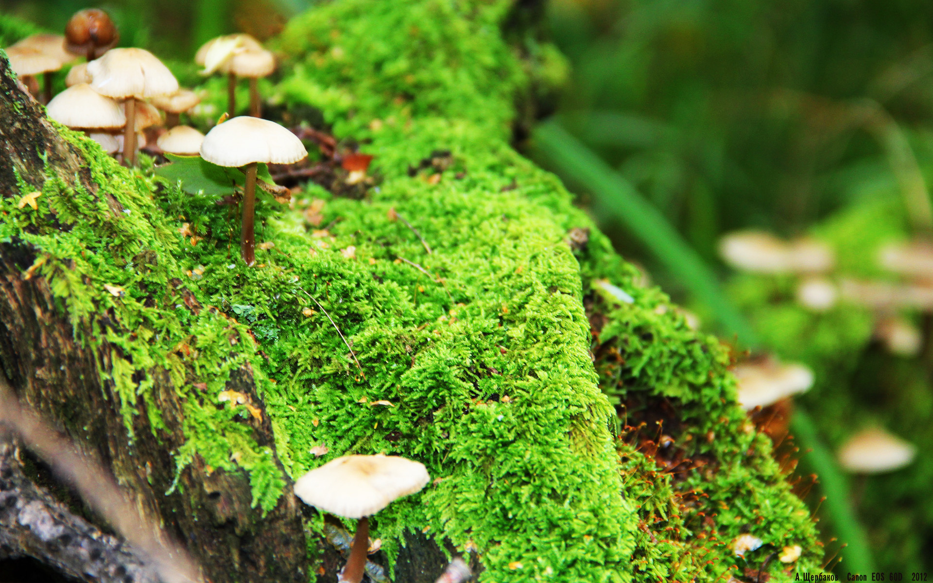 世界杯预选赛国足惨败 球迷呼吁技术革新,2022年世界杯预选赛国足