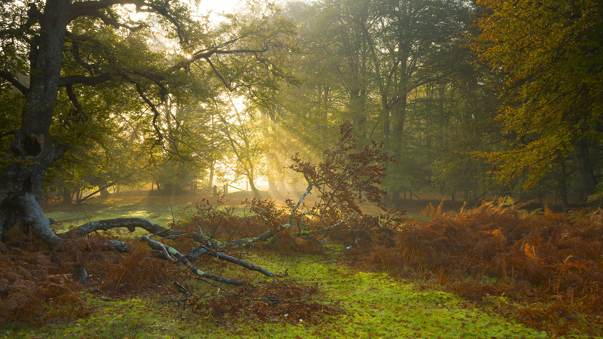 九游体育在线-中超联赛中国青年队战平 球员精神状态良好，中超俱乐部青训梯队