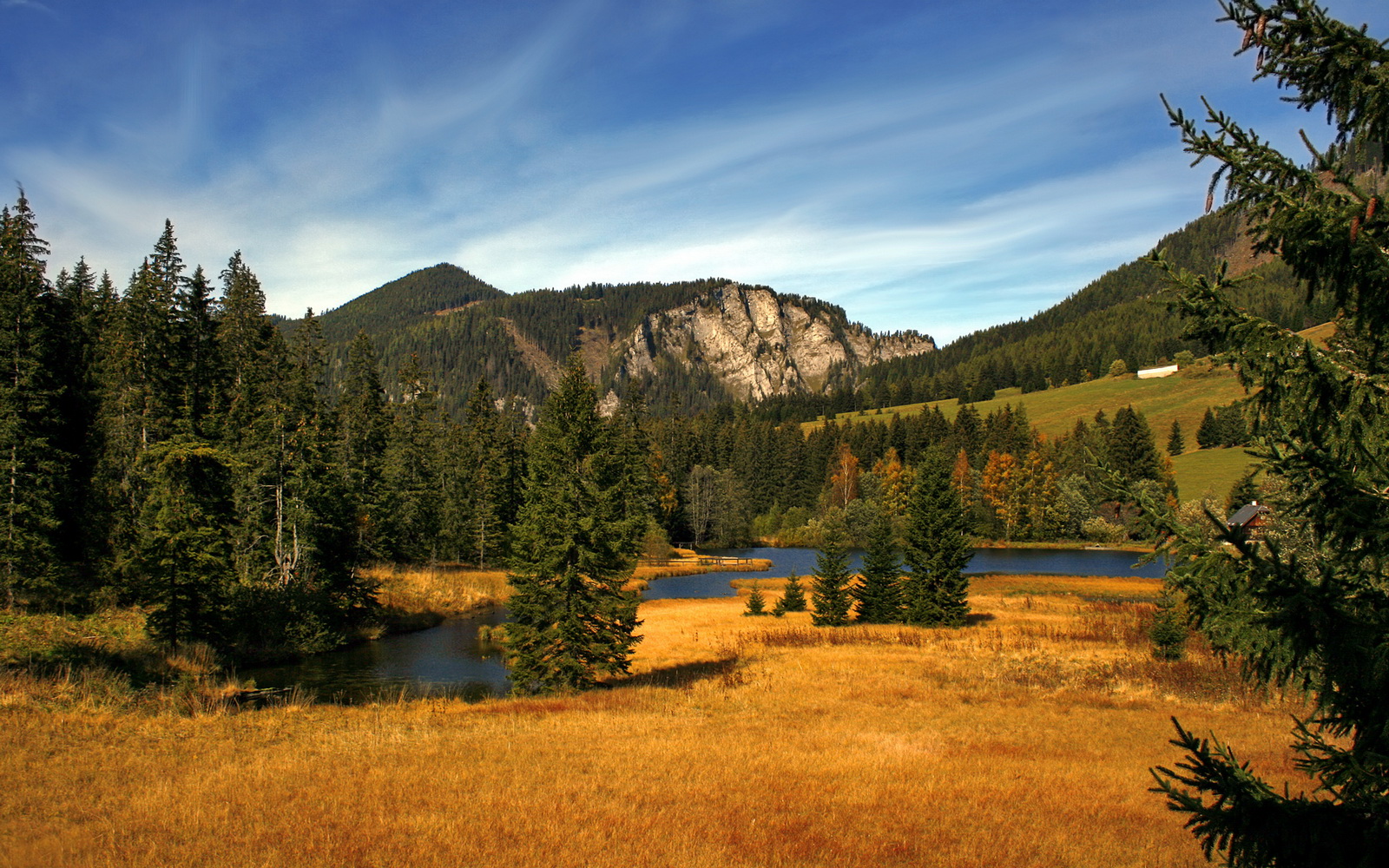 冠军速度模型及技术动作解析,冠军时刻百度百科