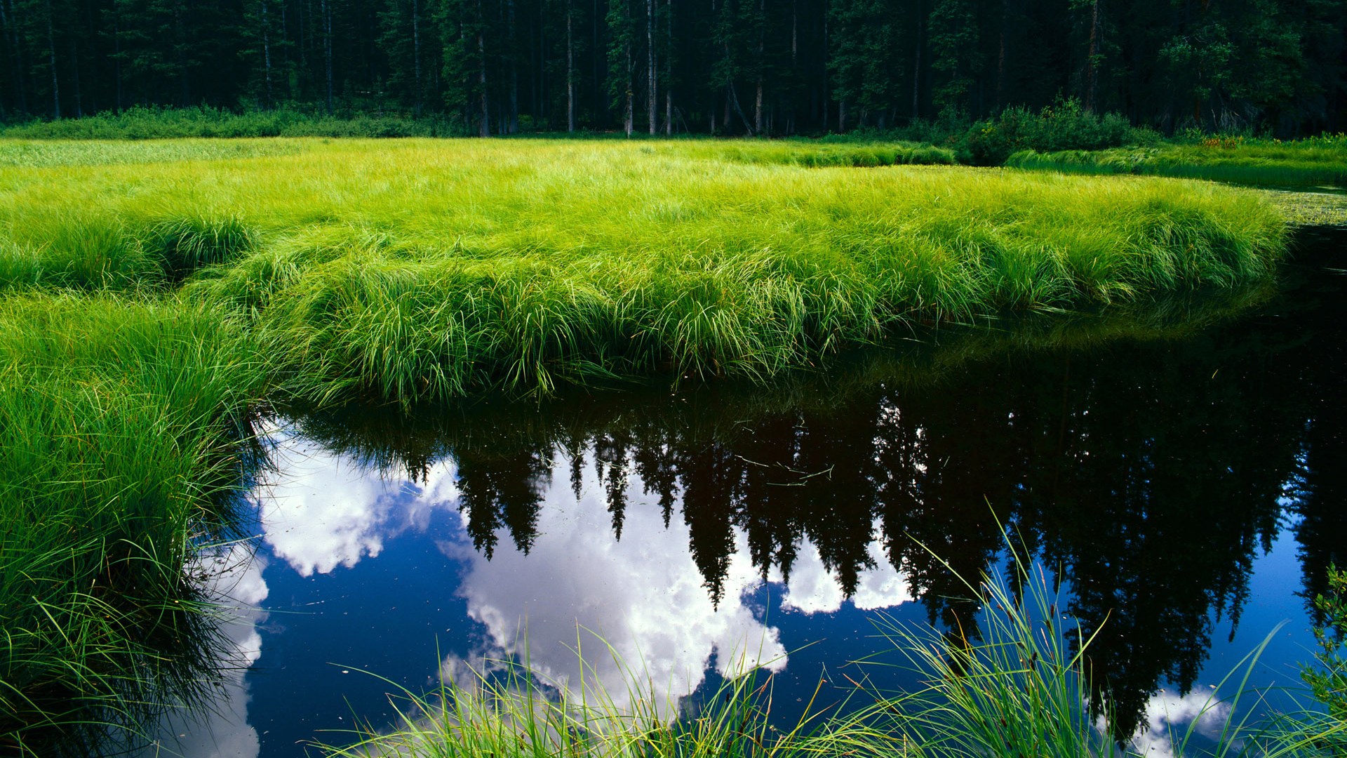 九游体育官网-国家队进攻终结手段为何过于依赖突破，国家队进攻终结手段为何过于依赖突破手段