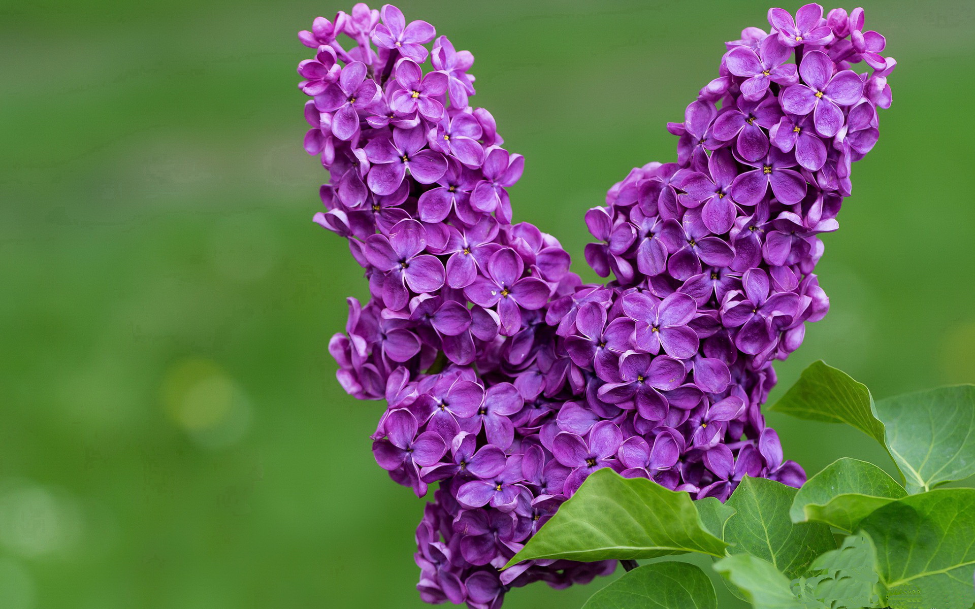 以足球主题的公益文化卡通产品深受儿童喜爱，足球文化节儿童画