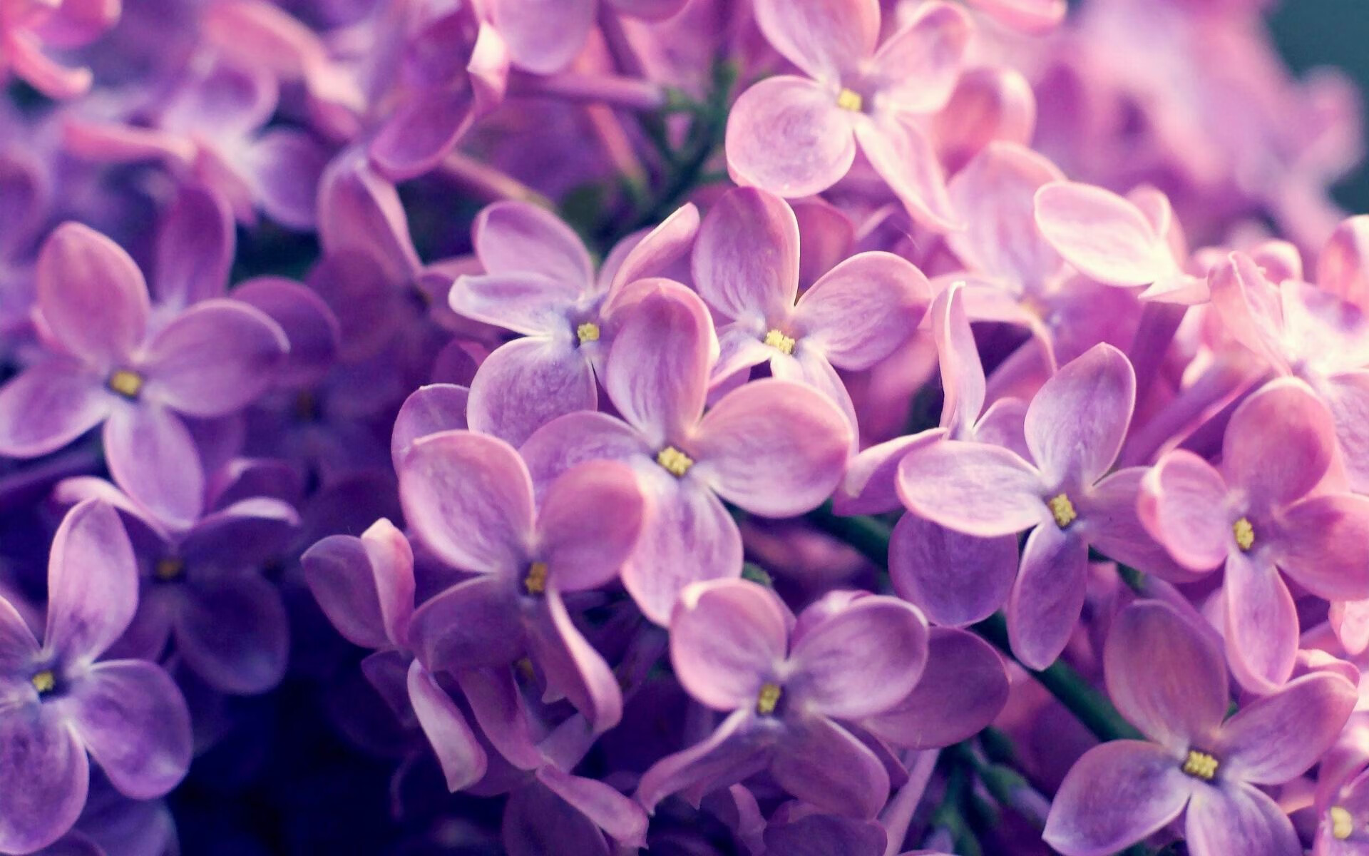 九游注册-体育场馆绿色环保改造，体育馆绿化