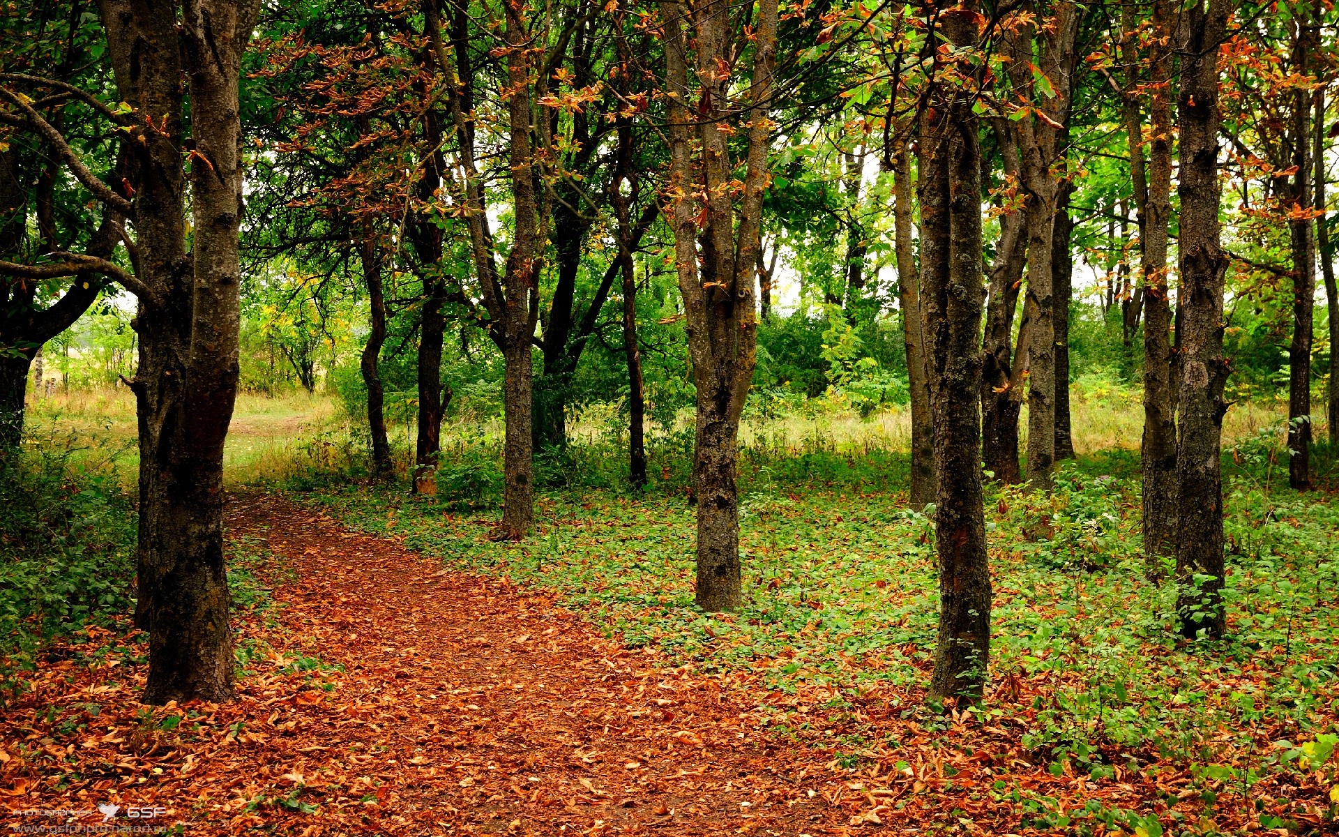 九游体育登录入口-意甲速度激情：突破防线时刻让人惊叹！，意甲纪录