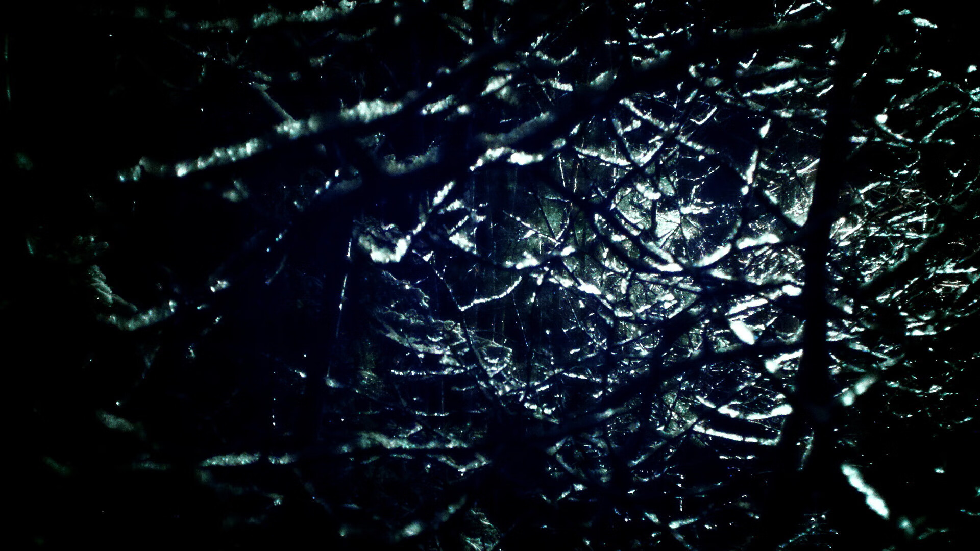 李娜全英文演讲鼓励全球青年，李娜 英文