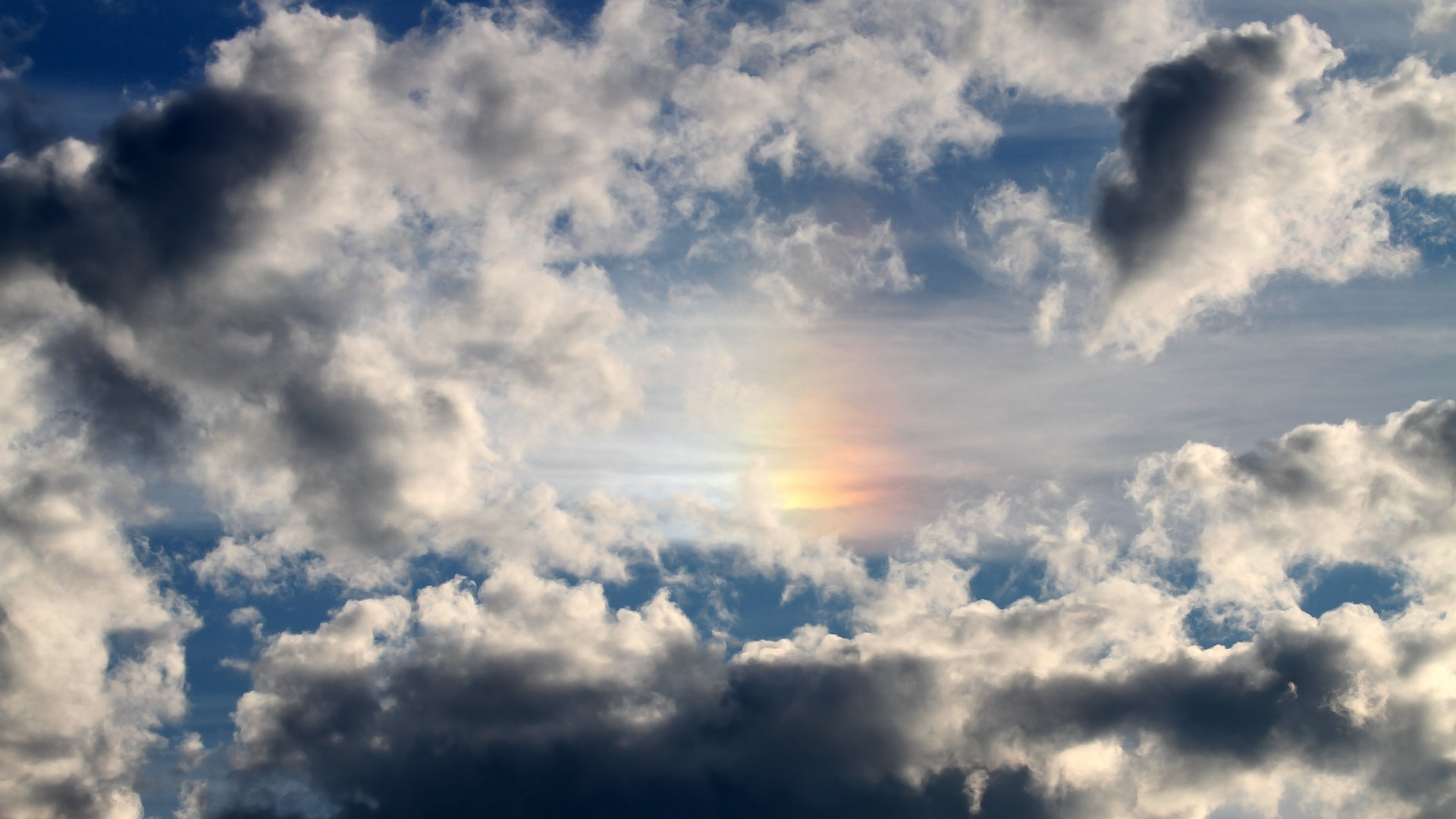 九游体育-美洲杯激情四射：明星绽放，奇迹不断！，美洲杯视频回顾