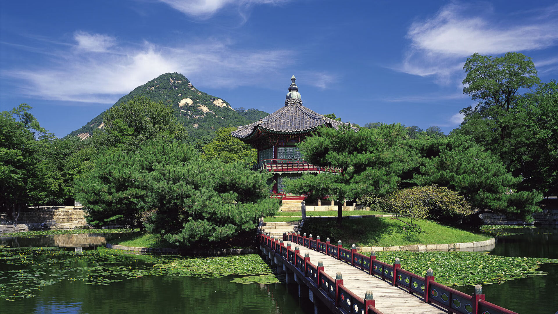 胡贝特·科斯泳姿流畅技术细腻，胡贝特胡尔卡奇